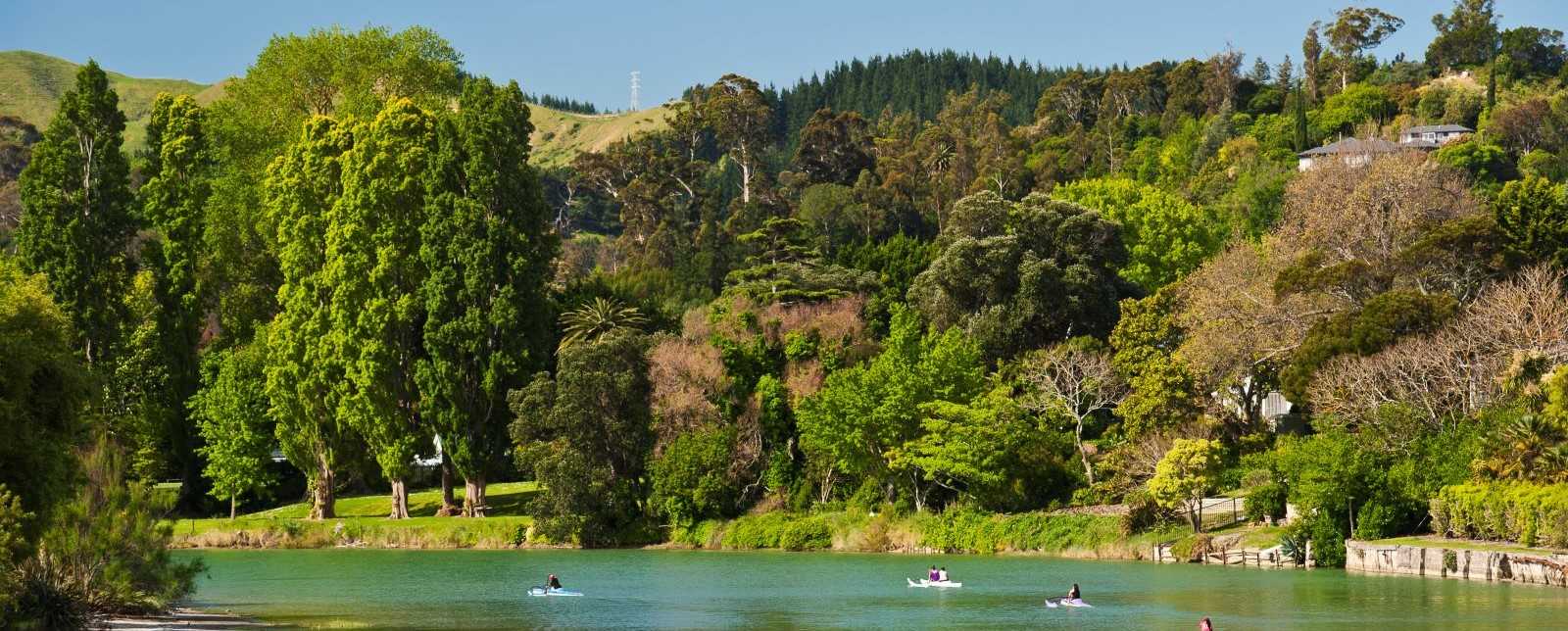 Waimatā-Pakarae Catchment Plan