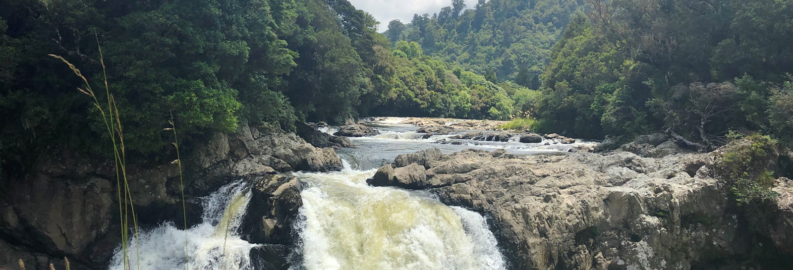 Catchment Planning