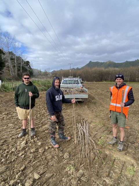 New tree nurseries for erosion control