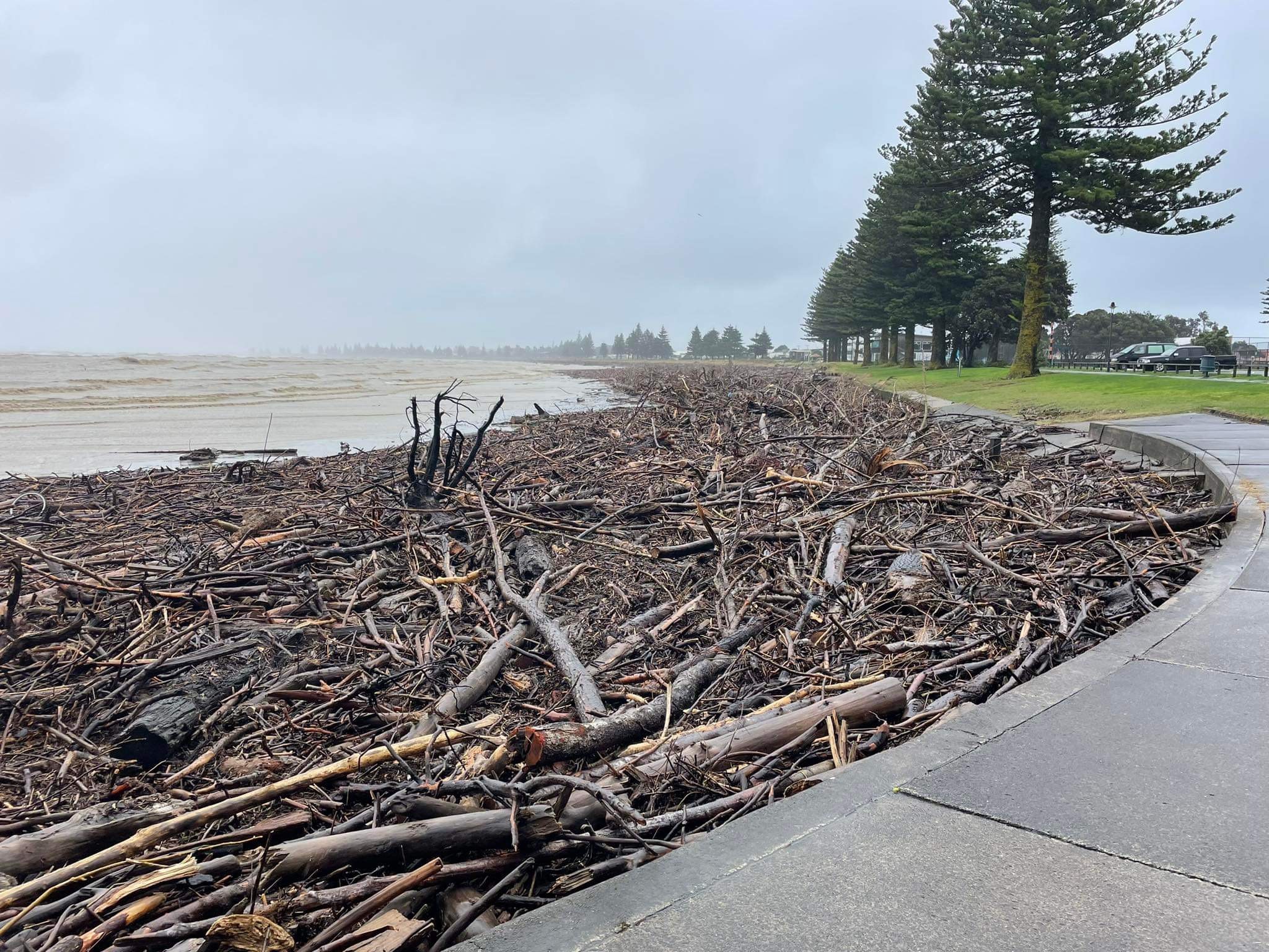 26 June Waikanae Beach debris